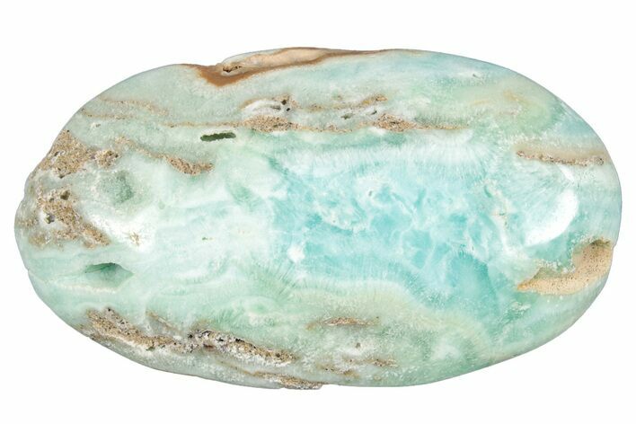 Polished Blue Caribbean Calcite Palm Stone #275579